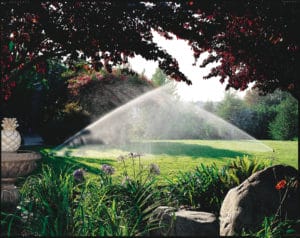 Rainbird - Two Rotors